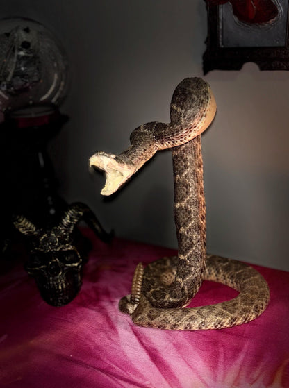 Haunted Doll Taxidermy- Naga- Snake Spirit Vessel- Very powerful Life changing entity