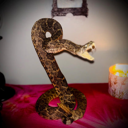 Haunted Doll Taxidermy- Naga- Snake Spirit Vessel- Very powerful Life changing entity