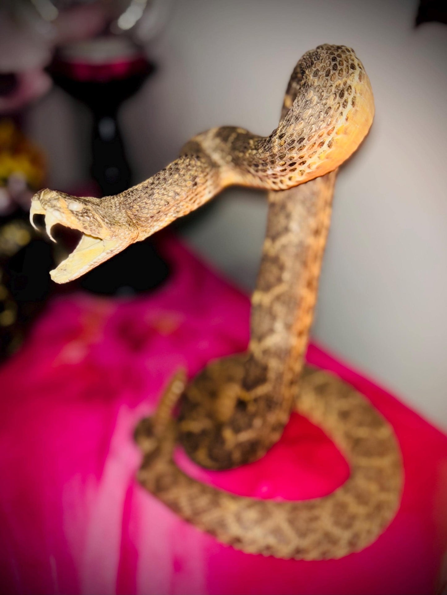 Haunted Doll Taxidermy- Naga- Snake Spirit Vessel- Very powerful Life changing entity