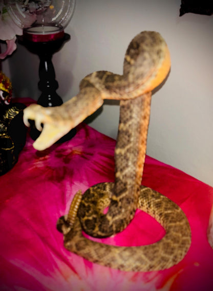 Haunted Doll Taxidermy- Naga- Snake Spirit Vessel- Very powerful Life changing entity