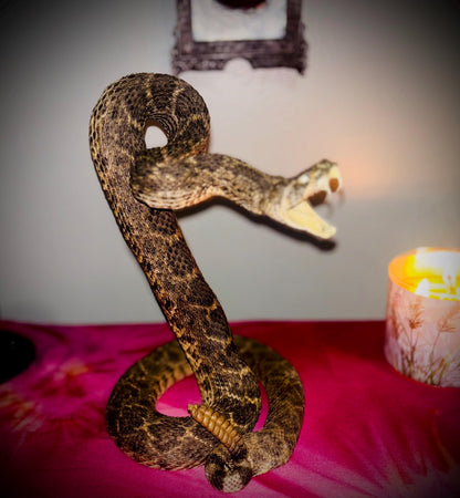 Haunted Doll Taxidermy- Naga- Snake Spirit Vessel- Very powerful Life changing entity