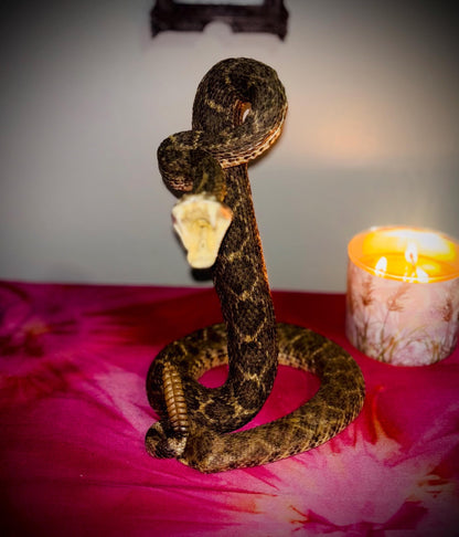 Haunted Doll Taxidermy- Naga- Snake Spirit Vessel- Very powerful Life changing entity