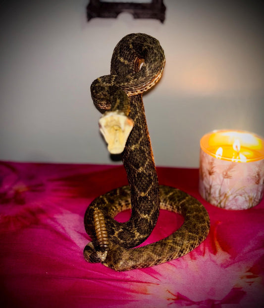 Haunted Doll Taxidermy- Naga- Snake Spirit Vessel- Very powerful Life changing entity